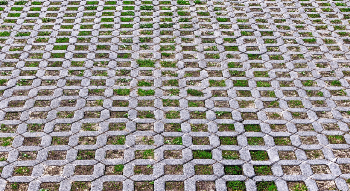 https://nizhnij-novgorod.blago-s.ru/storage/app/uploads/public/646/475/816/646475816c2ab703691124.png