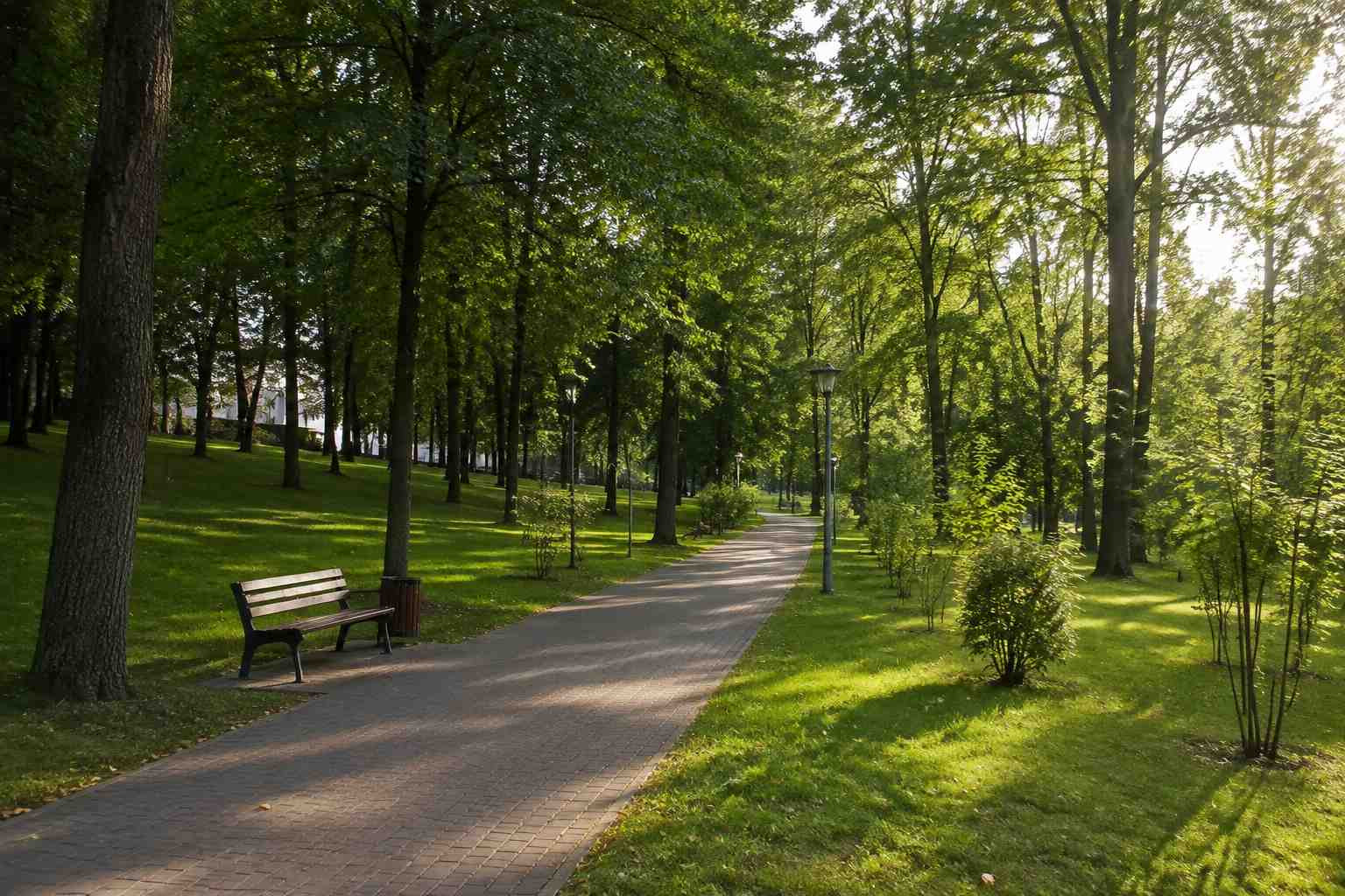 https://nizhnij-novgorod.blago-s.ru/storage/app/uploads/public/6a7/eef/ed2/6a7eefed2af22038960370.jpg